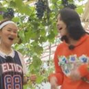 지영농장(2농장) 이미지