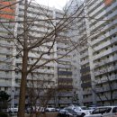 바른성심약국 이미지