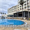 금호리조트제주 | 제주 서귀포 금호리조트 스위트양실 오션뷰 숙소 후기