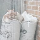 독립만세비 이미지