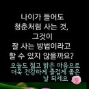 오늘도예쁜하루 이미지