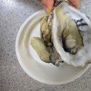 보령굴단지 맛집 가보세 굴집 두 번째 후기 굴찜 시간