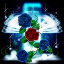 엘리제를 위하여 이미지