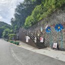 수국 명소 원주 동화마을수목원 부부 산책