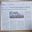 2024,7 ,25일 신문 기사자료 전문예술법인 단체 세번째 울산농악놀이 시연 및 퓨전국악공연 기사자료 이미지