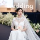 앤틱로즈 | 한전아트센터 결혼식 서브스냅, 앤틱로즈스냅 솔직 후기