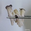 삼촌네정육점 - 고양시 일산서구 탄중로 514 | 삼촌네정육점