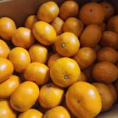 해신농장 이미지