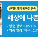 행복한 멍이세상 이미지