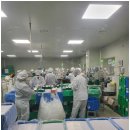 안산에서 믿고 맡길 수 있었던 선택, 안산직업소개소 하리코리아