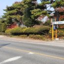 담터태릉갈비 이미지