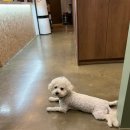 왕산로1L-4 | 청량리 그라시엘 엄마 로컬픽☕ 걸어서 5분 티타임 카페 etc