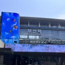 남천1-223 | [왓츠인마이블로그] 2주차 - 1박2일 부산 뚜벅이 여행