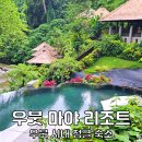 천앤디씨 | 발리 마야 우붓 리조트 우붓 시내 숙소 추천
