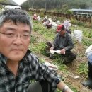 주식회사정주 이미지