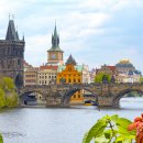 레스트윗 이미지