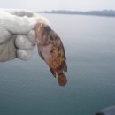 명가 사계절휴양지 이미지