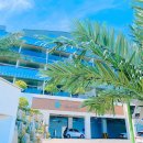 블루망고 이미지