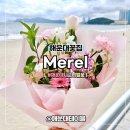 해운대엘시티 시그니엘부산 부산24시꽃집 메르엘 꽃다발 재방문 솔직후기