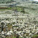 천지배농장 이미지