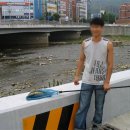 태전교 이미지