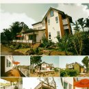 감귤향기힐링파크 이미지