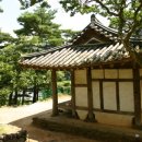 죽향(竹香)