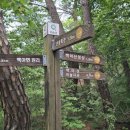 규암목장 이미지