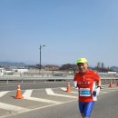 2023 성주참외전국마라톤대회 사진-3 이미지