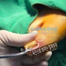 유의미외과의원 이미지