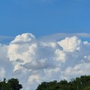 동네쉼터 이미지