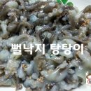 갯마을낙지 이미지
