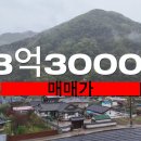 성심부동산중개인 이미지