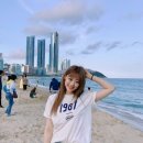 동백섬 이미지