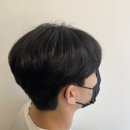 리안헤어산곡더루츠