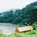 고사리맨션 이미지