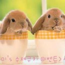 성꼬미 이미지