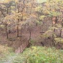 장성호 수변트레킹길 주차장 이미지