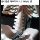 미술관 아산용화점 이미지