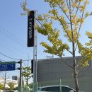 캘리그라피2(야간) | 울산 아이오닉9 캘리그라피 21인치 시승 후기 (vs 팰리세이드 하브)