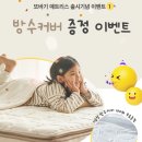 푸딩포토 | 레이디가구 신상 푸딩 데이베드 Q 사이즈 공홈 핫딜 구매 후기 가격(결제취소)