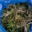 화천재래시장 이미지