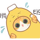 대전실내크리닝 에바크리닝 아우라광택 손세차 이미지