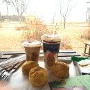 발바닥애견카페 | 춘천 애견 동반 매장과 감자빵 맛있는 감자밭, 가족여행 애견카페 다녀온 코스