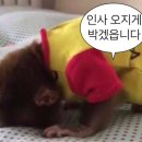 막퍼주식당 이미지