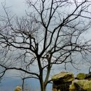 선바우농장 이미지