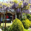 바다로가는길목 펜션 이미지