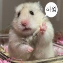범핀 | 공연 | OUF 2025 - One Universe Festival 후기 / 찰리xcx 보고 온 썰 푼다.