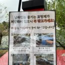 세차의고수 첨단점 이미지