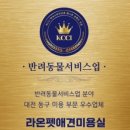 금미용실 이미지